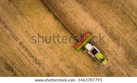Harvester during harvesting. Agriculture machines doing their work.