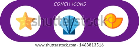 conch icon set. 3 flat conch icons.  Simple modern icons about  - starfish, seashell