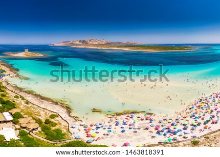 Famous La Pelosa beach with Torre della Pelosa on Sardinia island, Sardinia, Italy, Europe.  Royalty-Free Stock Photo #1463818391