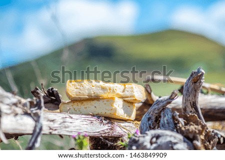Soft cheese portions are exposed in a rural area facing the landscape