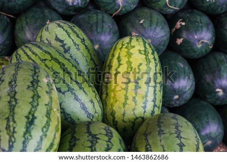 The season of watermelon, watermelon day. Texture, background