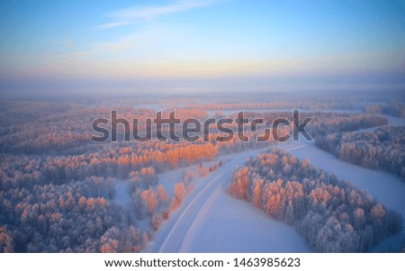 Siberian rural winter landscape with birch trees covered with hoarfrost at morning time. Aerial shot from drone.