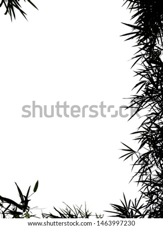Frame picture with black​ leaves​ of bamboo​ tree​ isolated​ on​background.