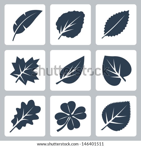 Vector tree leaves icons set
