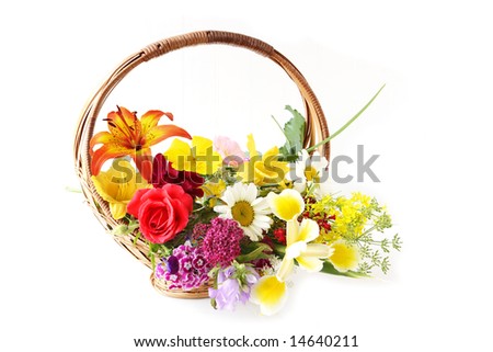 Basket with summer flowers on white background