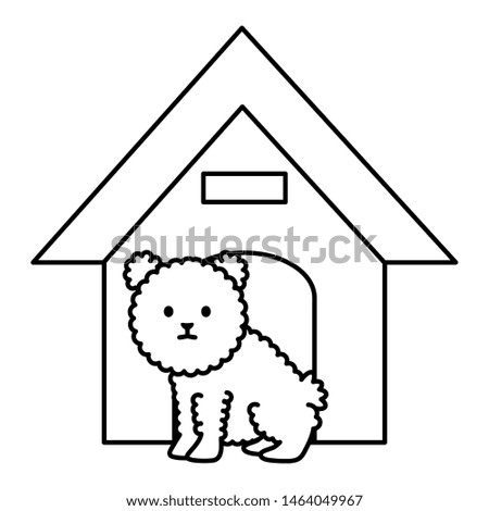 little dog adorable with wooden house