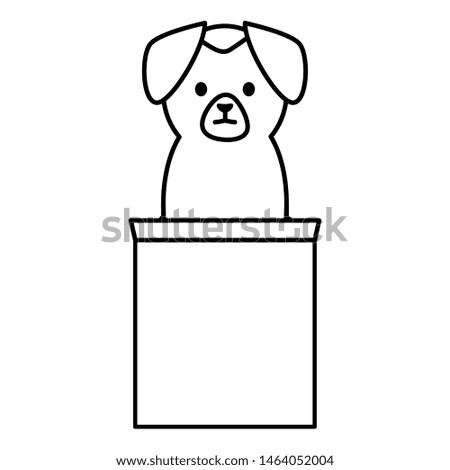 little dog adorable with carton box