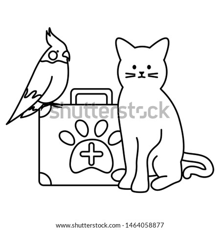 cute cat and bird mascots with medical kit