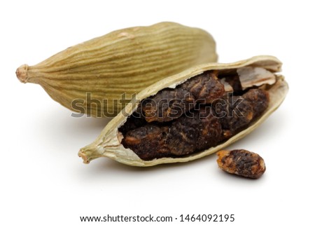 Cardamom pods and seeds isolated on white background