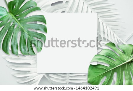 Collection of tropical leaves,foliage plant in white color.Abstract leaf decoration design background;.Exotic nature for cover template