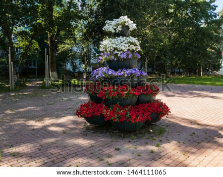 flower arrangement in the form of a Christmas tree in the city