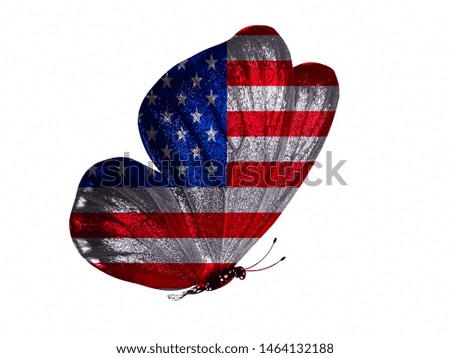 butterfly with usa flag on wings isolated on white background. starry striped flag. America symbol