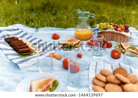 summer picnic on the grass with an open picnic basket, fruit, with toasted sandwiches and berries. picnic tablecloth