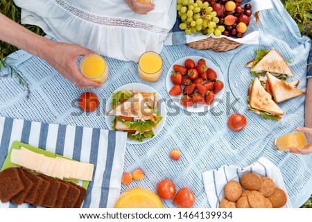 summer picnic on the grass with an open picnic basket, fruit, with toasted sandwiches and berries. picnic tablecloth. view from above.