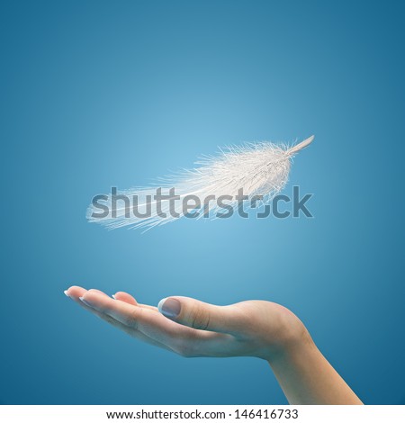Easy feather in the air on the palm Royalty-Free Stock Photo #146416733