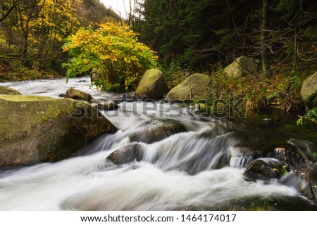 The River Oker, in the Harz Mountains