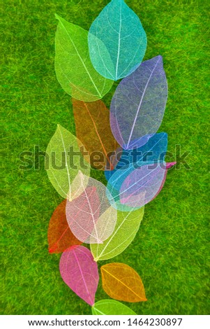 Beautiful decor with colorful leaves on the background of green grass. 