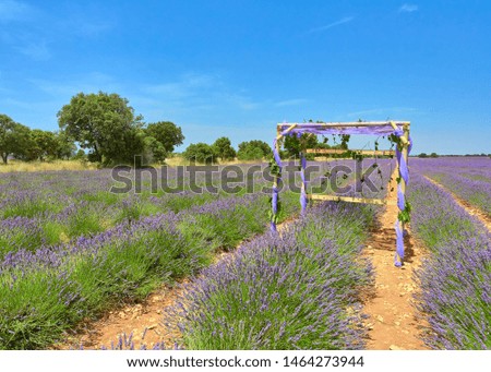 Colorful landscape view of a lavender cultivation field with a public set to take selfies pictures at best state of bloom from the town of Brihuega, n.
