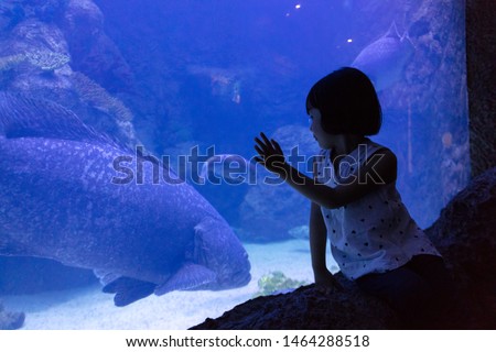 Asian Little Chinese Girl watching fishes in the aquarium Royalty-Free Stock Photo #1464288518