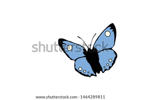 butterfly illustration on white background