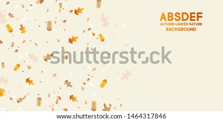 Grey abstract background autumn decoration leaves of twigs and flowers