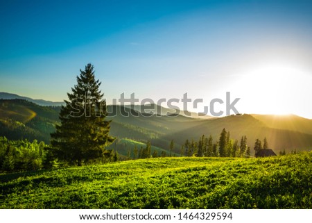 Sunset on the meadow in the village Yablunitsa, Carpathians. Royalty-Free Stock Photo #1464329594