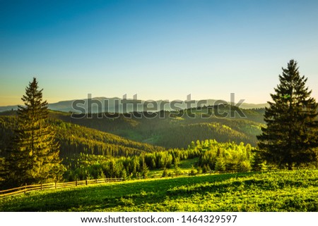 Sunset on the meadow in the village Yablunitsa, Carpathians. Royalty-Free Stock Photo #1464329597