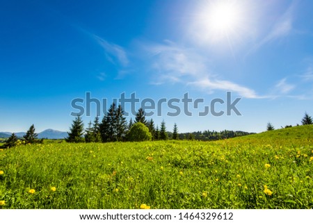 View of the village Yablunitsa and the Carpathian Mountains and hills. Royalty-Free Stock Photo #1464329612
