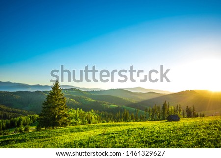 Sunset on the meadow in the village Yablunitsa, Carpathians. Royalty-Free Stock Photo #1464329627