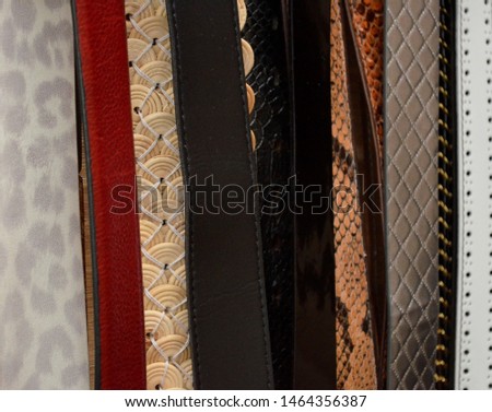 Different colors and models belts  hanging in wardrobe, close up.
