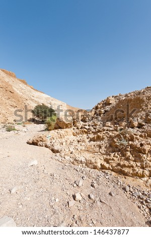 Canyon in the Judean Desert on the West Bank 