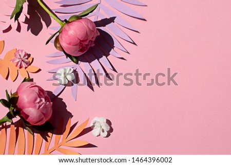 Pink floral concept frame with peony flowers and colorful paper leaves. Copy space