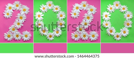 Inscription 2020 from fresh daisies on a colored background. 0, 2,  arabic numeral. Happy New Year 2020. Large daisies  create a number 2 and 0 on green and pink background.