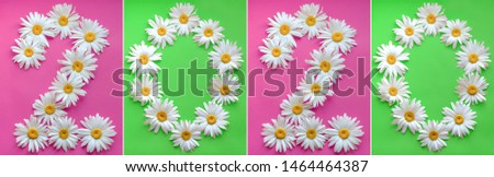 Inscription 2020 from fresh daisies on a colored background. 0, 2,  arabic numeral. Happy New Year 2020. Large daisies  create a number 2 and 0 on green and pink background.