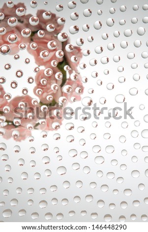 Waterdrops picturing a floral wreath  