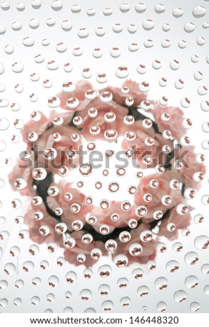 Waterdrops picturing a floral wreath  