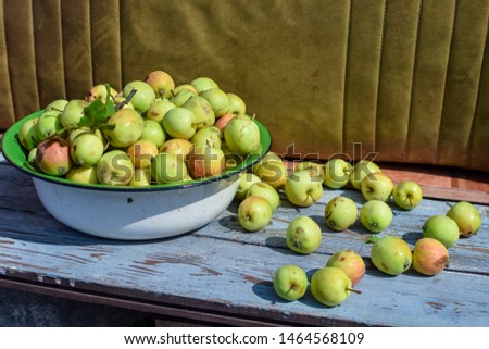Apples in a white metal pelvis on wooden bench