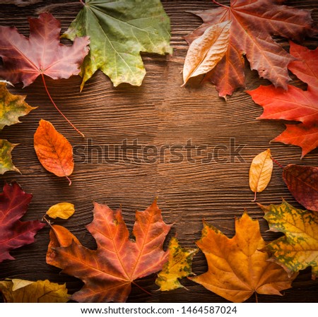 autumn leaf frame for words and inscriptions, copy space (top view)