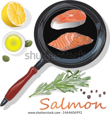 Raw salmon fillets on the pan with herbs. White background. Vector illustration, separated layers.