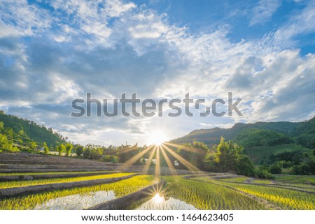 Beautiful Colorful Sunset Over Mountains and Rice Terrace. Landscape Nature Background. Picture for Agriculture Concept.
