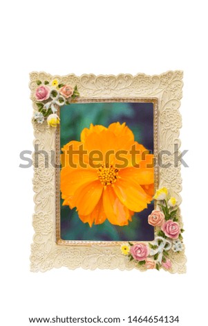 Image of a frame with rose texture around border isolated on white and inside with Colorful Cosmos flowers meadow Spring nature background for graphic and card design