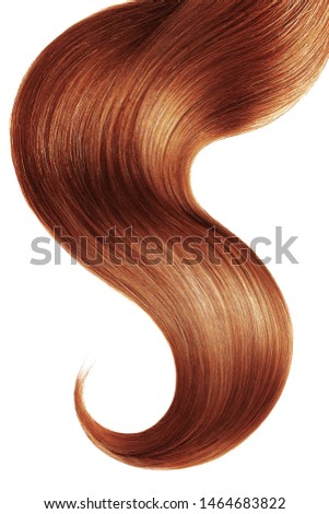 Henna hair isolated on white background. Long ponytail	