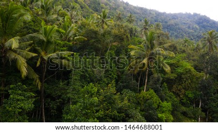 extensive forest in lombok indonesia Royalty-Free Stock Photo #1464688001