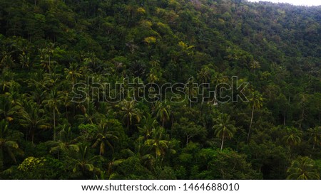 extensive forest in lombok indonesia Royalty-Free Stock Photo #1464688010