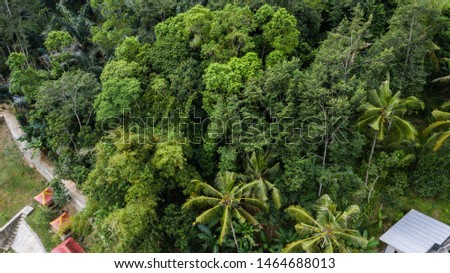extensive forest in lombok indonesia Royalty-Free Stock Photo #1464688013