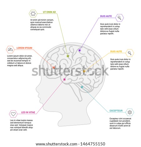 Human brain scheme on white background