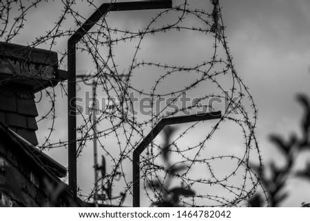 Black and white close up picture of barbed wire fence. You can see the silhouette of creatures if you take a closer look at it.