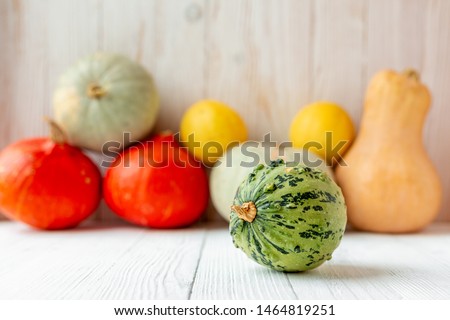 Decorative green pumpkin Pumpkins in front of white wooden wall Rustic style Copy space