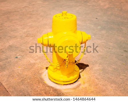Yellow fire Hydrant on the Sidewalk Near the Street