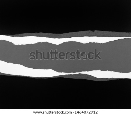 Ripped paper on grey background, space for copy